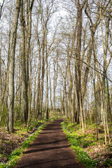 Fototapeta premium View of the walking trail in spring, Ramsholmen island, Tammisaari, Finland