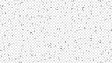 Water rain drops on transparent background, realistic style, vector elements