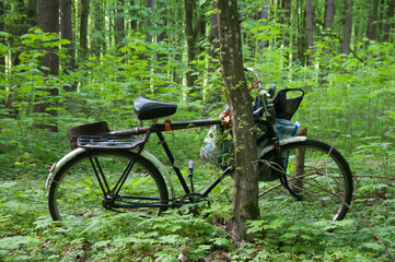 An old bicycle left in the forest. A bicycle leaning against a tree in the woods