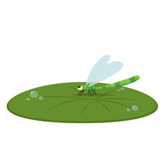 Dragonfly on lotus leaf vector. Drop of water on lotus leaf. Lotus leaf vector. wallpaper. free space for text.