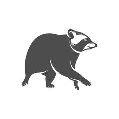 Racoon logo design vector. Icon Symbol. Template Illustration