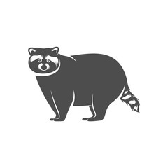 Racoon logo design vector. Icon Symbol. Template Illustration