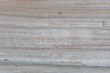 Obraz premium closeup photo of old wood. background and texture of the timber