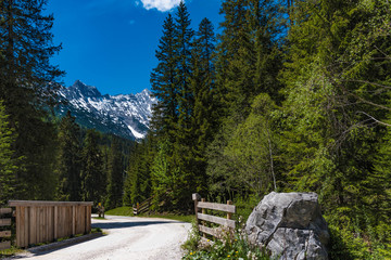 Waldweg im Gaistal bei Leutasch, Tirol
