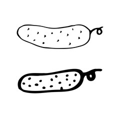 Cucumbers. Hand drawn outline doodle icon. Transparent isolated on white background. Vector illustration for greeting cards, posters, patches, prints for clothes, emblems.
