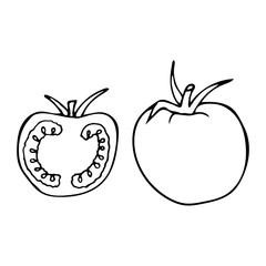 Tomato with stem and leaf. Hand drawn outline doodle icon. Transparent isolated on white background. Vector illustration for greeting cards, posters, patches, prints for clothes, emblems.