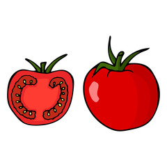 Tomato with stem and leaf. Hand drawn outline doodle icon. Colorful isolated on white background. Vector illustration for greeting cards, posters, patches, prints for clothes, emblems.