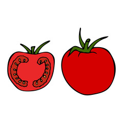 Tomato with stem and leaf. Hand drawn outline doodle icon. Colorful isolated on white background. Vector illustration for greeting cards, posters, patches, prints for clothes, emblems.