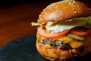 burger, food, sandwich, bread, cheese, snack, meal, breakfast, healthy, meat, tomato, lunch, salad, white, lettuce, isolated, fresh, vegetable, hamburger, plate, bun, gourmet, fish, diet, delicious, c
