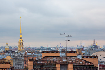 Top view of the historic city center of St. Petersburg. Crows are sitting on a television antenna. The roofs of buildings and the bell tower of the Peter and Paul Cathedral. Saint-Petersburg, Russia.