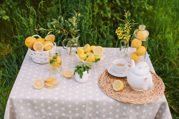 Lemonade and olive palm on table. Mason jar glass of lemonade with lemons. Copy space. Fruits and yellow macaroons on the table. The concept of spring and summer season. Healthy Food and Drink
