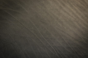 Obraz premium Dark gray cattle skin texture with empty place for text top view, background for your text. Flat lay