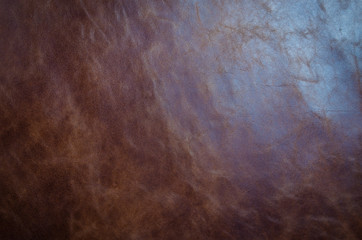 Brown cattle skin texture with empty place for text top view, background for your text. Flat lay