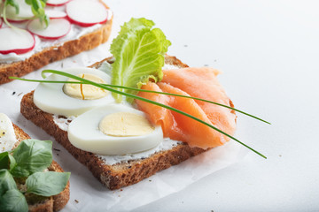 sandwiches with mascarpone cheese, eggs, salmon, radish, caprese salad on a white background. Close up.