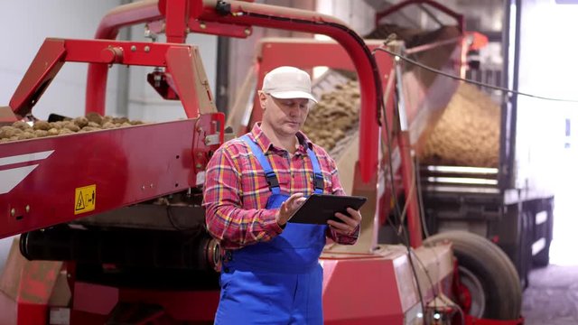 Farmer With Tablet In Potato Storage Warehouse. Background Of Loading Potatoes Into Truck, Using Machine With Conveyor Belt. Potato Harvest Sorting For Processing Plant . Agriculture, Farming, Food