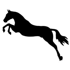 Horse silhouette. Black icon of animal 
