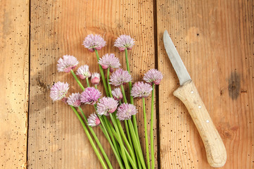 Schnittlauch Blüte Schnittlauchblüten Blüten Lauch Tisch Brett ernte