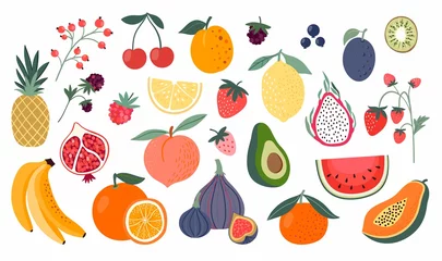Fotobehang Different fruits collection, doodle style, isolated on white © lilett