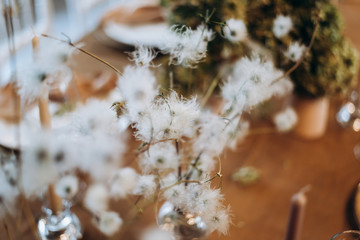 white flowers on a table