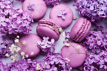 Branches of lilac and lilac macaron on a grey background. Delicious dessert. Flat Lay Style