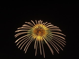 Obraz premium 花火