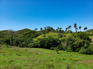 Tropical landscape in the dominican republic
