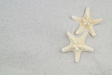 Fototapeta na wymiar Two starfishes on white sand background with space for text