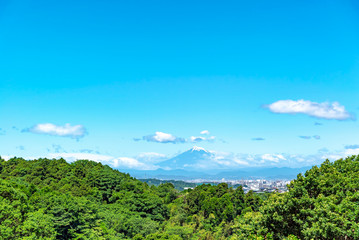Fototapeta na wymiar 【遠地から見る富士】鎌倉市から見る富士山