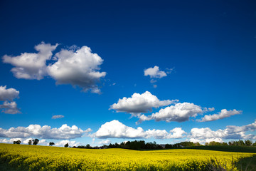 White clouds over the blue sky