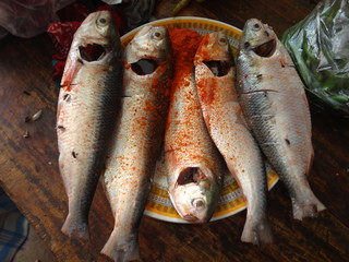 Preparing Hilsa fish for cooking