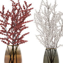 Bouquet of branches with red berries in a vase on a white background