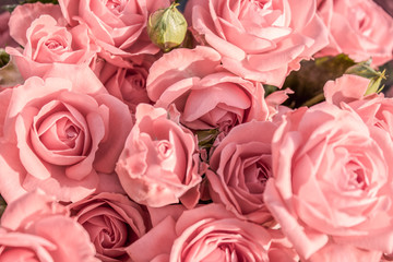Background of pink roses close-up. Bouquet of roses close-up.