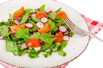 Healthy nutrition. light salad of beetroot leaves, radish and cherry tomatoes