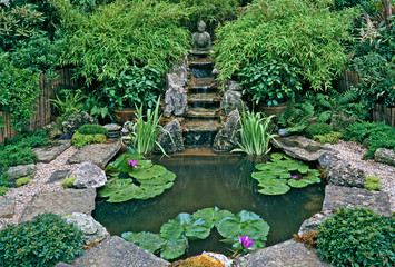A seculded Zen Water Garden in a calm and peaceful setting
