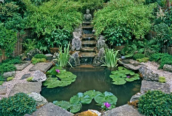 Fotobehang A seculded Zen Water Garden in a calm and peaceful setting © Garden Guru
