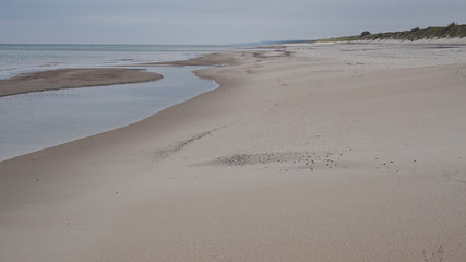 The Curonian Spit sandy beach (Nida, Lithuania). Baltic sea coastline.