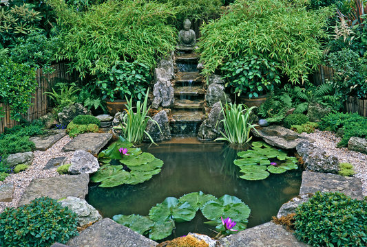 A Seculded Zen Water Garden In A Calm And Peaceful Setting