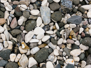 Pebbles on the Beach