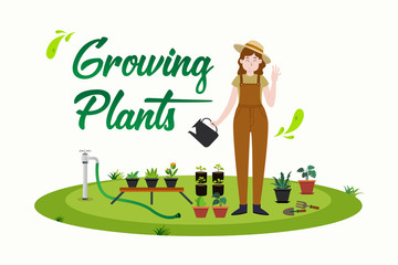 Growing plants concept. Woman watering plants. Gardening background