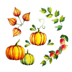 Autumn pumpkins leaves watercolor set