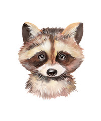 Obraz premium Watercolor illustration portrait of a raccoon.