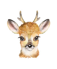 Obraz premium Watercolor illustration of a little deer, forest deer