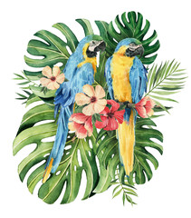 Print with beautiful watercolor parrots and tropical leaves. Tropics. Realistic tropical leaves. Tropical birds. - 353377976