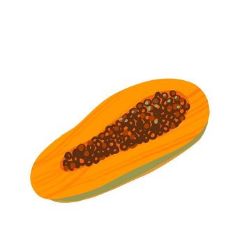 recommend clip art: Cut in half papaya isolated on the white background. Tropical fruit - orange juicy papaya with seeds. Summer fruits for healthy lifestyle. Organic fruit. Cartoon