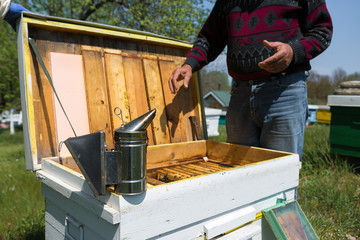 A farmer on a bee apiary holds frames with wax honeycombs. Planned preparation for the collection of honey.