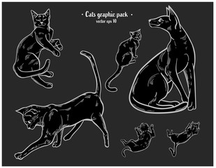 Vector illustrations of black cats in a realistic style, for tattoos, stickers, textile. Magical moon mood.