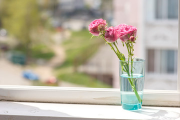 a sprig of spray roses in a glass on a windowsill in an open window with a view of the city
