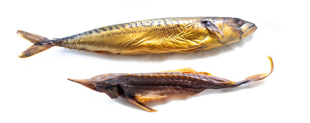 tasty smoked mackerel fish and sterlet isolated on a white background