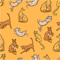 Bright and funny pattern of different ginger cats. Decorate textiles, paper and other products for cat lovers.