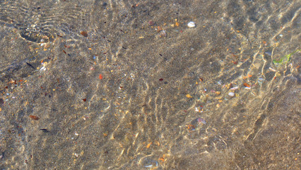 Sea water moving over a sandy beach in bright sunlight.